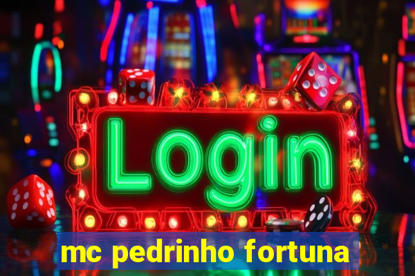 mc pedrinho fortuna